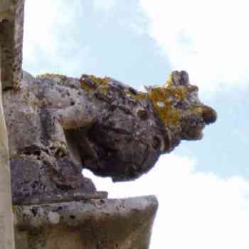 Click para ampliar. Pulsa en el nombre para ver la ficha. Gargola II - Monasterio de Alcobasa. Portugal